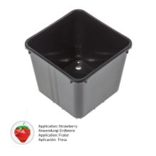 Picture of 4.7 litre strawberry pot – Medium weight