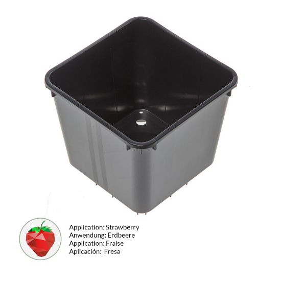 Picture of 4.7 litre strawberry pot – Medium weight